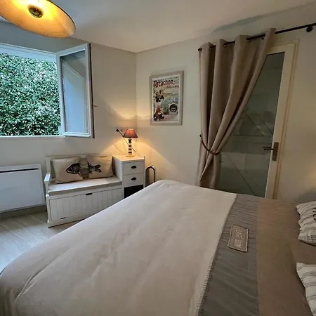 T3 Au Coeur De La D'hiver, Arcachon, Avec Jardin Et Parking - Fr-1-474-254
